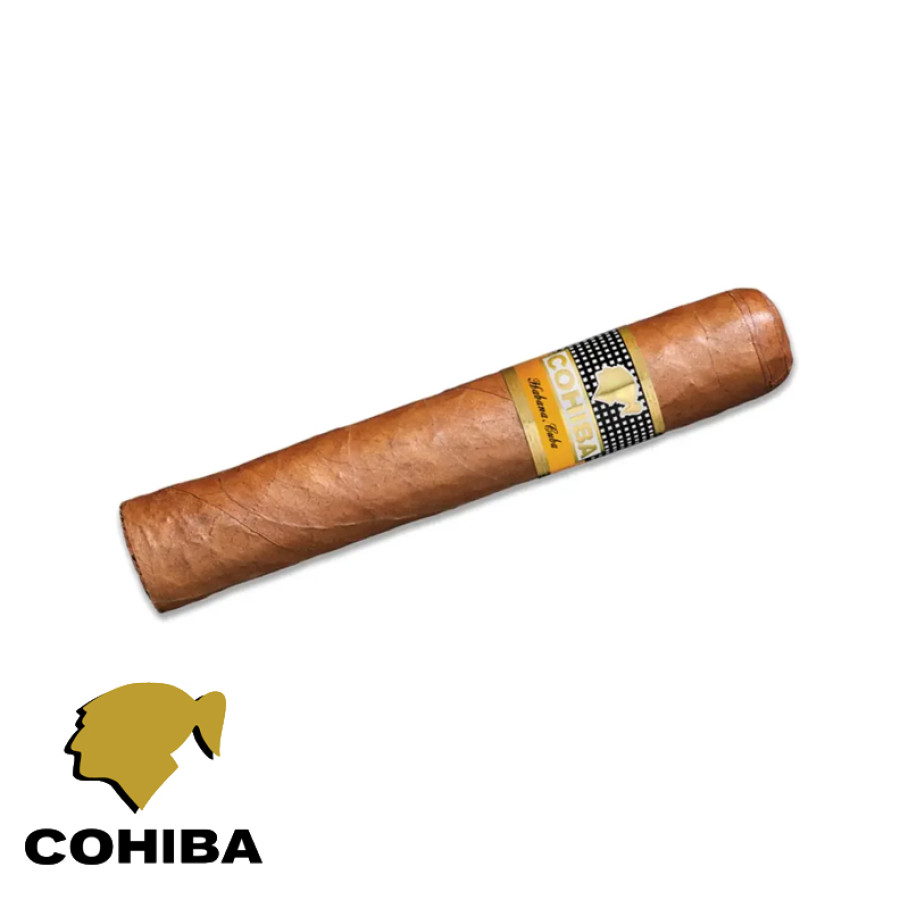 charuto cohiba robustos tamboré