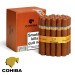 charuto cohiba siglo VI tamboré