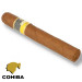 charuto cohiba siglo VI tamboré