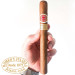 Charuto Romeo y Julieta Churchills tamboré São Paulo